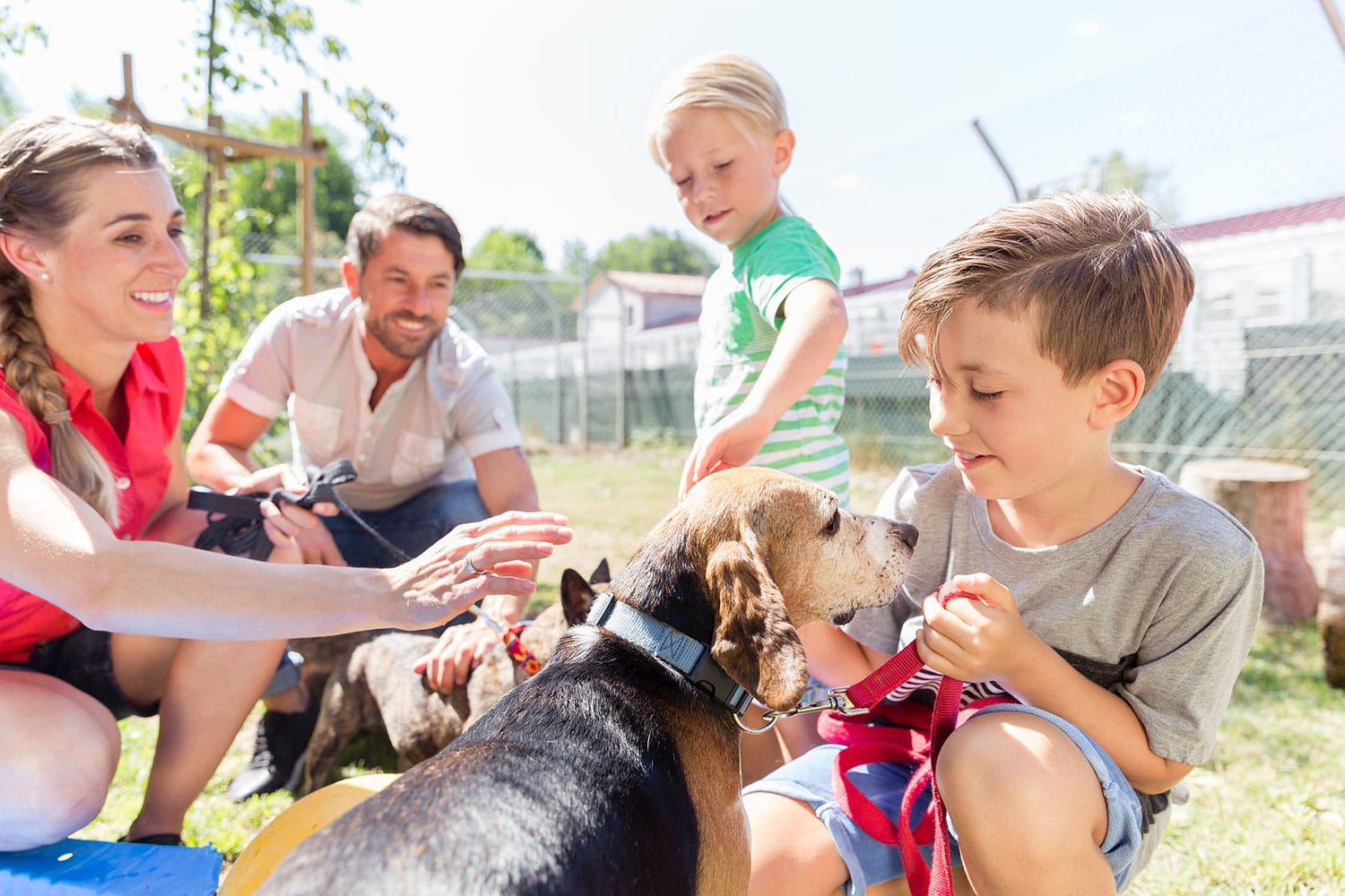 private-adoption-helton-law-firm
